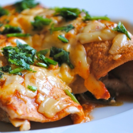 Enchiladas Chicken